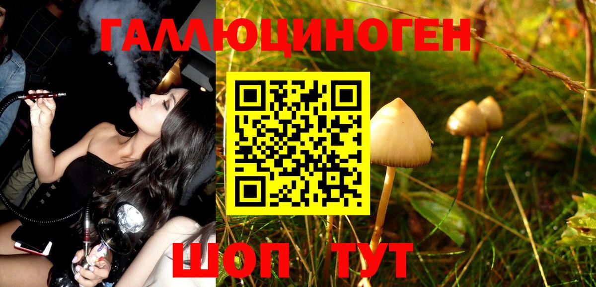 Псилоцибиновые грибы Magic Shrooms  Вход с VPN  Добрянка 