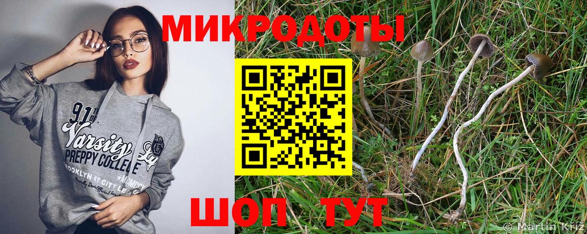 закладки  Добрянка  Галлюциногенные грибы Psilocybe 